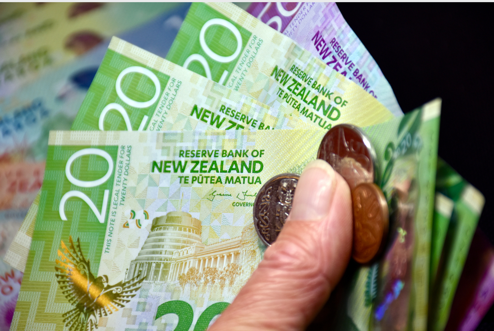 Immigration fees increase