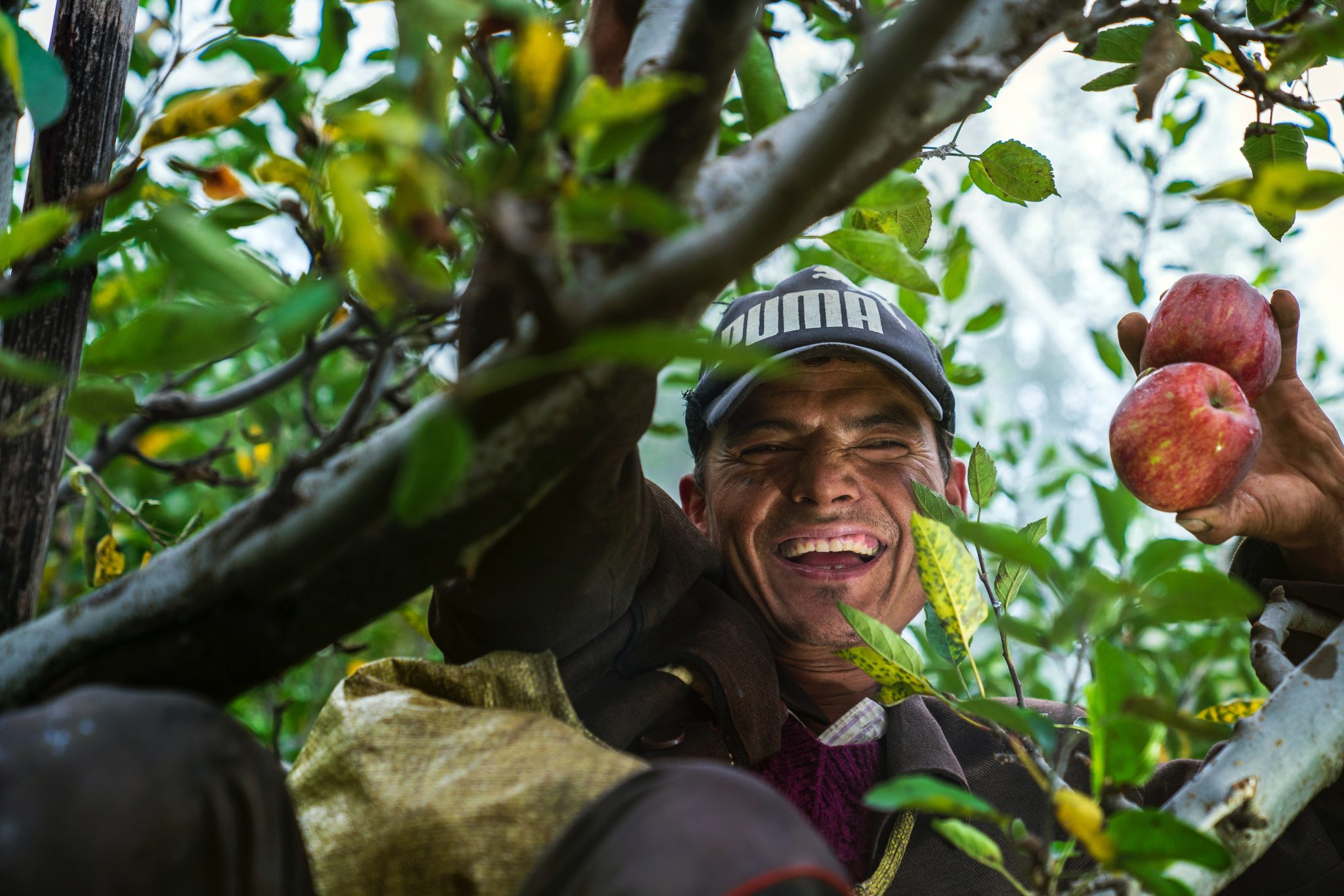 seasonal worker